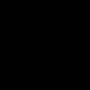 Meet your Posher, Trey